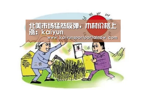 北美市场猛然反弹，木材价格上涨：kaiyun(图3)