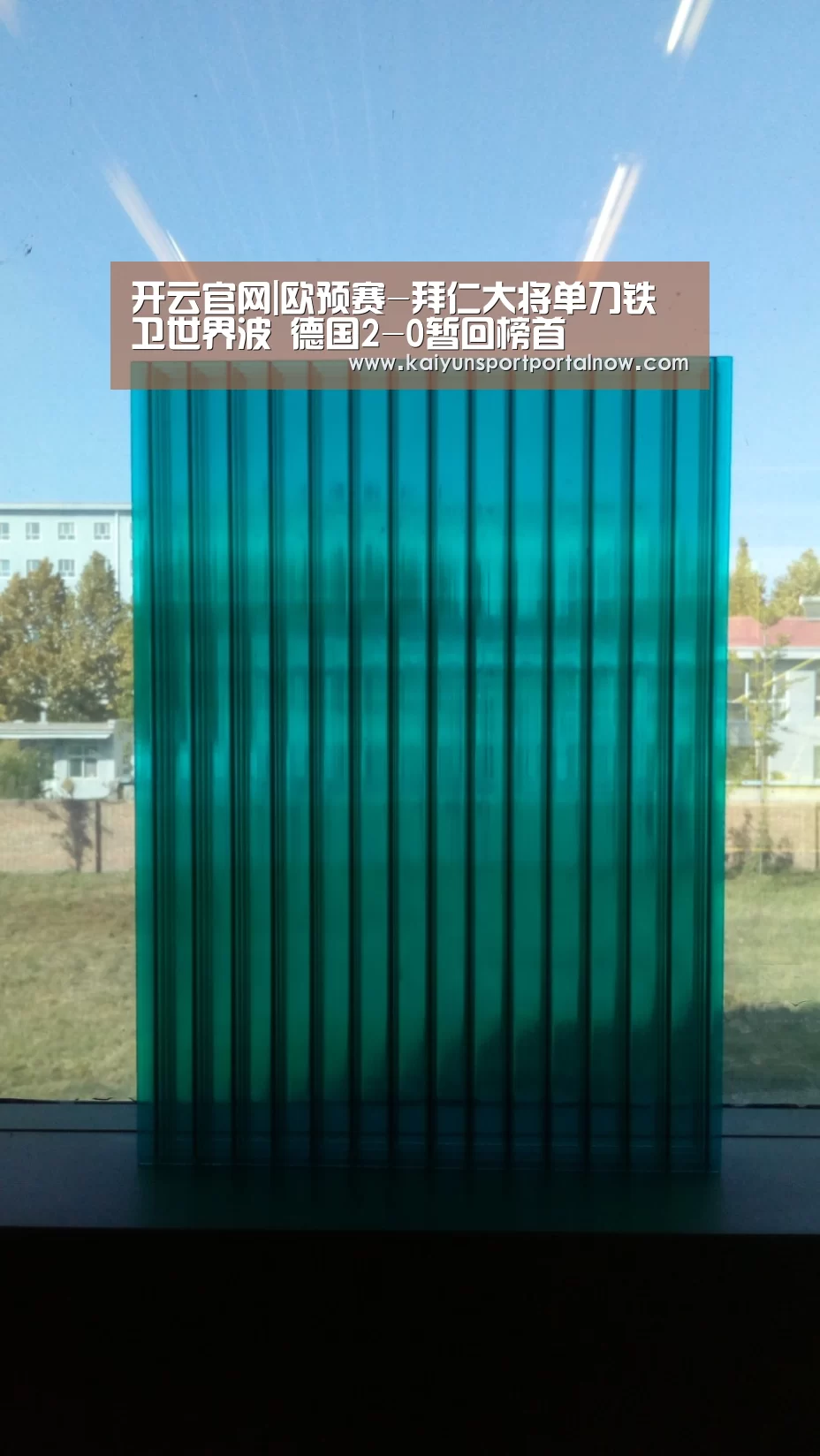 开云官方登录